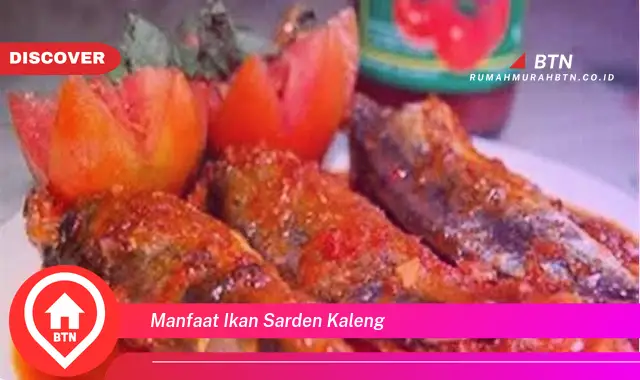 manfaat ikan sarden kaleng