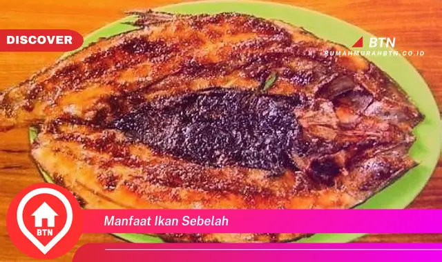 manfaat ikan sebelah