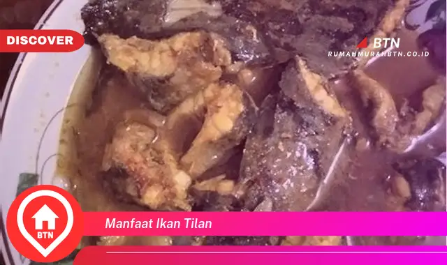 manfaat ikan tilan