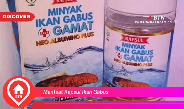 manfaat kapsul ikan gabus