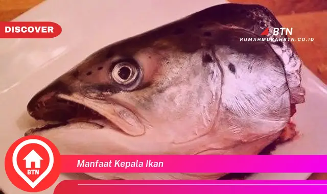 manfaat kepala ikan