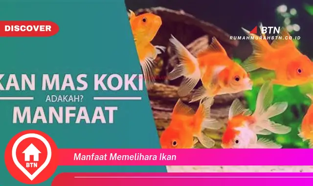 manfaat memelihara ikan