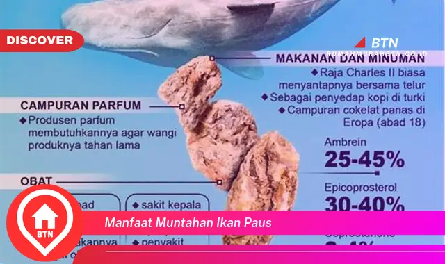 manfaat muntahan ikan paus