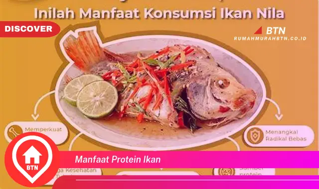 manfaat protein ikan