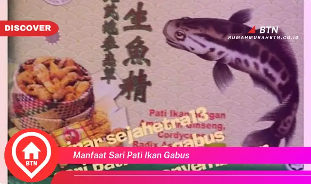 manfaat sari pati ikan gabus