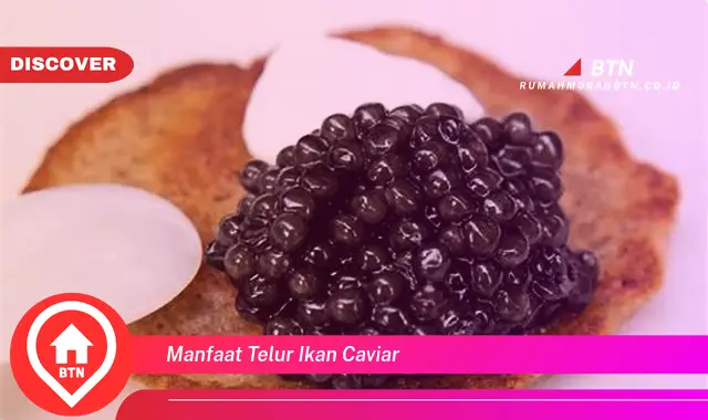 manfaat telur ikan caviar