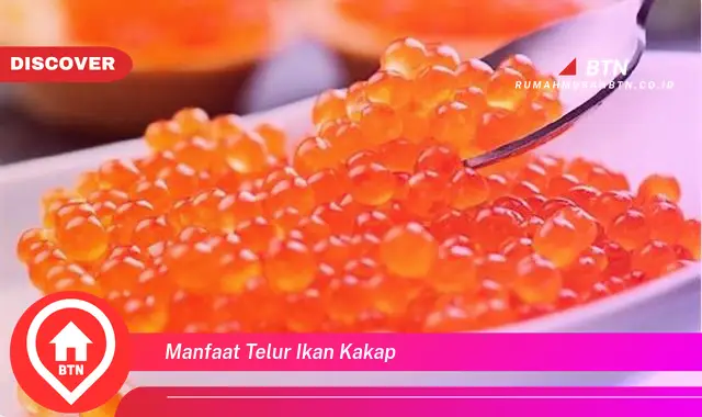 manfaat telur ikan kakap