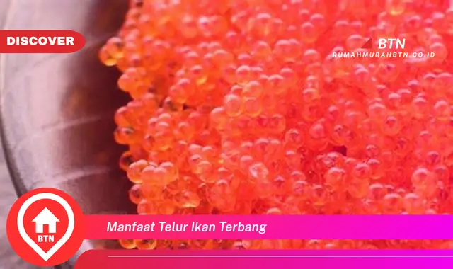 manfaat telur ikan terbang