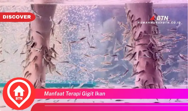 manfaat terapi gigit ikan