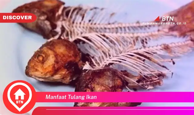 manfaat tulang ikan