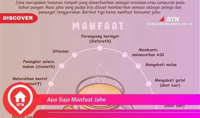 apa saja manfaat jahe