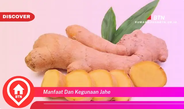 manfaat dan kegunaan jahe