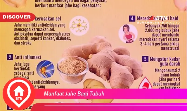 manfaat jahe bagi tubuh