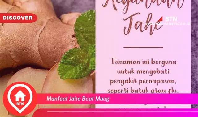 manfaat jahe buat maag