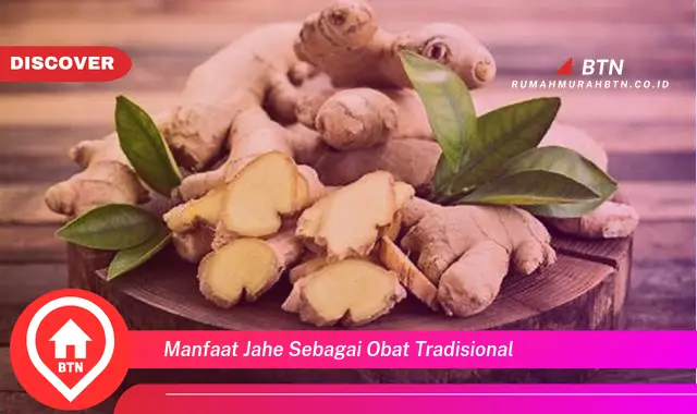 manfaat jahe sebagai obat tradisional