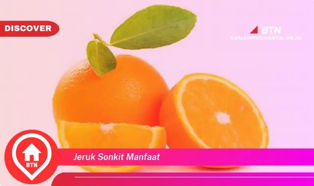 jeruk sonkit manfaat