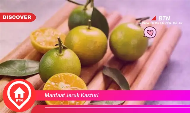 manfaat jeruk kasturi