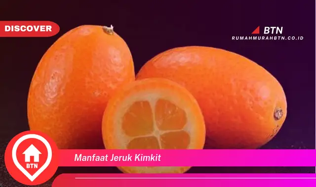 manfaat jeruk kimkit