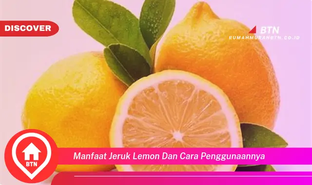 manfaat jeruk lemon dan cara penggunaannya