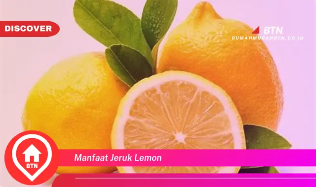 manfaat jeruk lemon