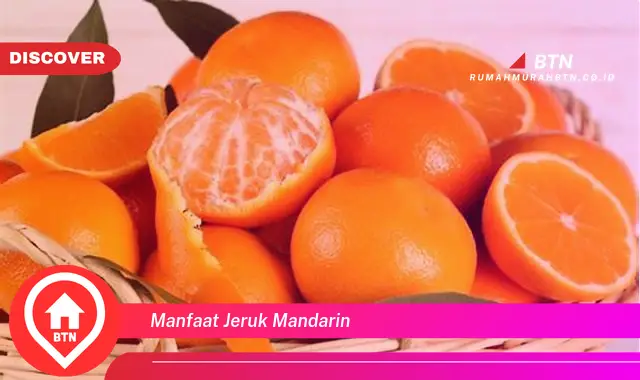 manfaat jeruk mandarin