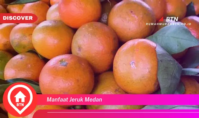 manfaat jeruk medan