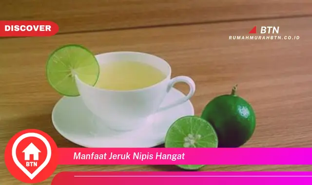 manfaat jeruk nipis hangat