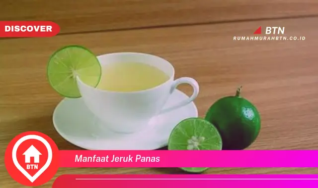 manfaat jeruk panas