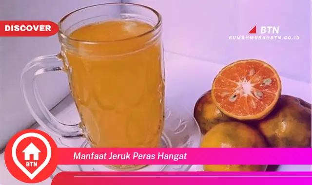 manfaat jeruk peras hangat