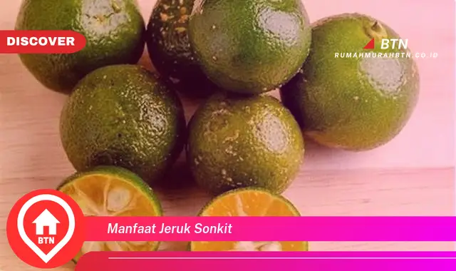 manfaat jeruk sonkit