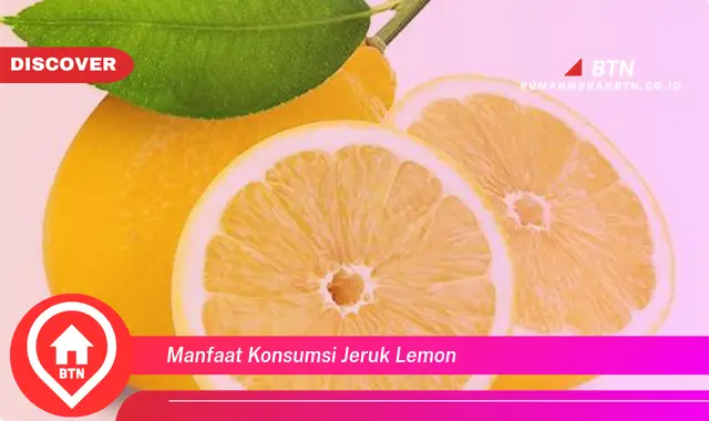 manfaat konsumsi jeruk lemon