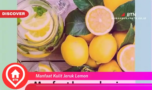 manfaat kulit jeruk lemon