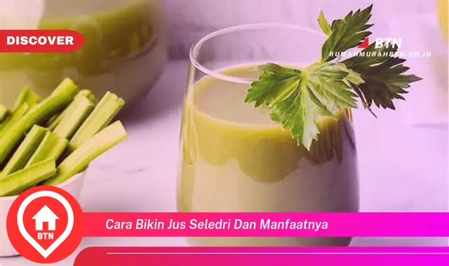 cara bikin jus seledri dan manfaatnya