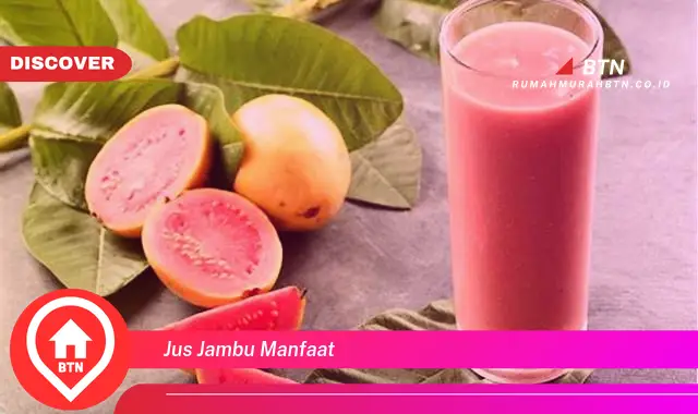 jus jambu manfaat