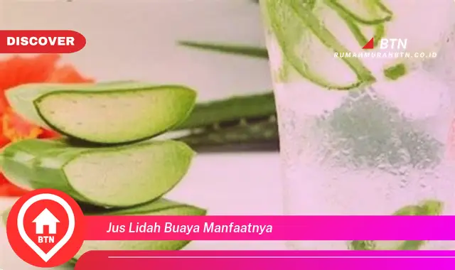 jus lidah buaya manfaatnya