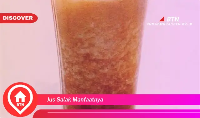 jus salak manfaatnya