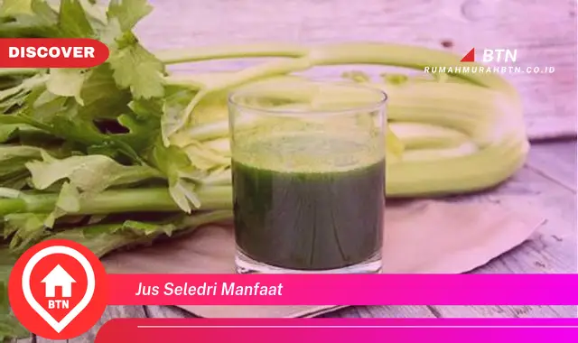 jus seledri manfaat