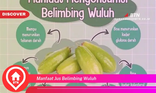 manfaat jus belimbing wuluh