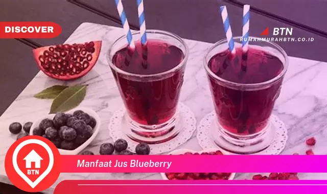 manfaat jus blueberry