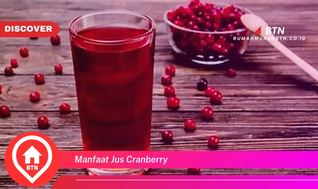 manfaat jus cranberry