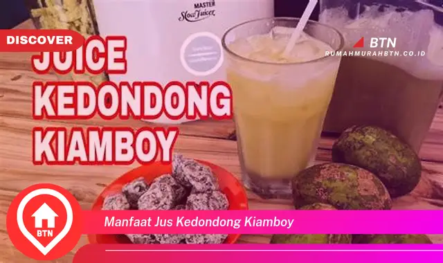 manfaat jus kedondong kiamboy