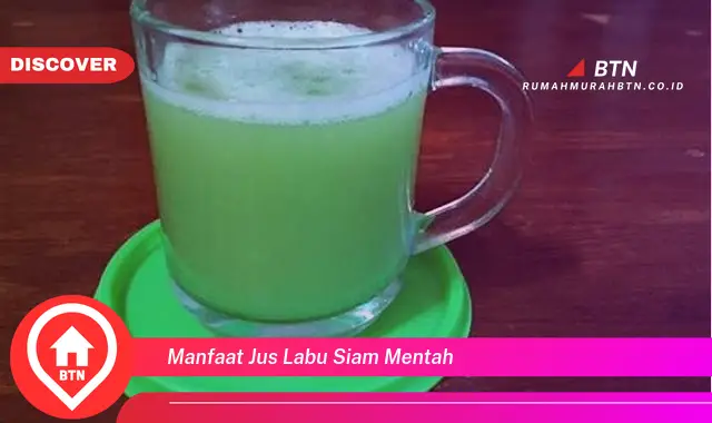 manfaat jus labu siam mentah