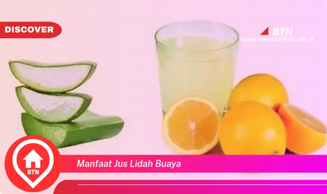 manfaat jus lidah buaya