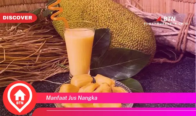 manfaat jus nangka