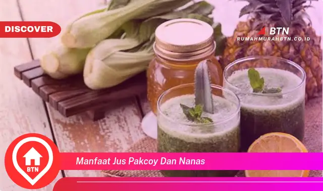 manfaat jus pakcoy dan nanas