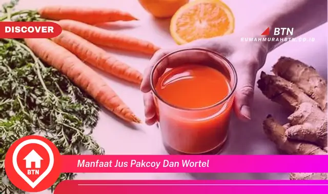 manfaat jus pakcoy dan wortel