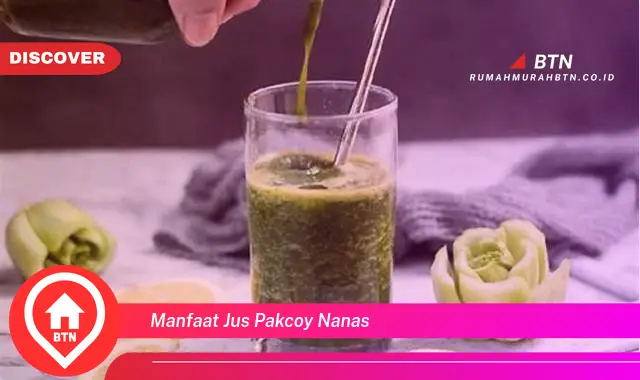 manfaat jus pakcoy nanas