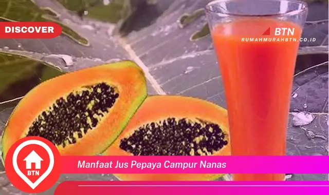 manfaat jus pepaya campur nanas