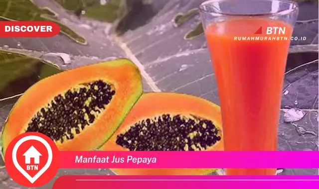 manfaat jus pepaya