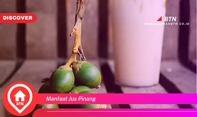 manfaat jus pinang